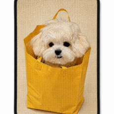 Customized Cat Scratching Mats dog